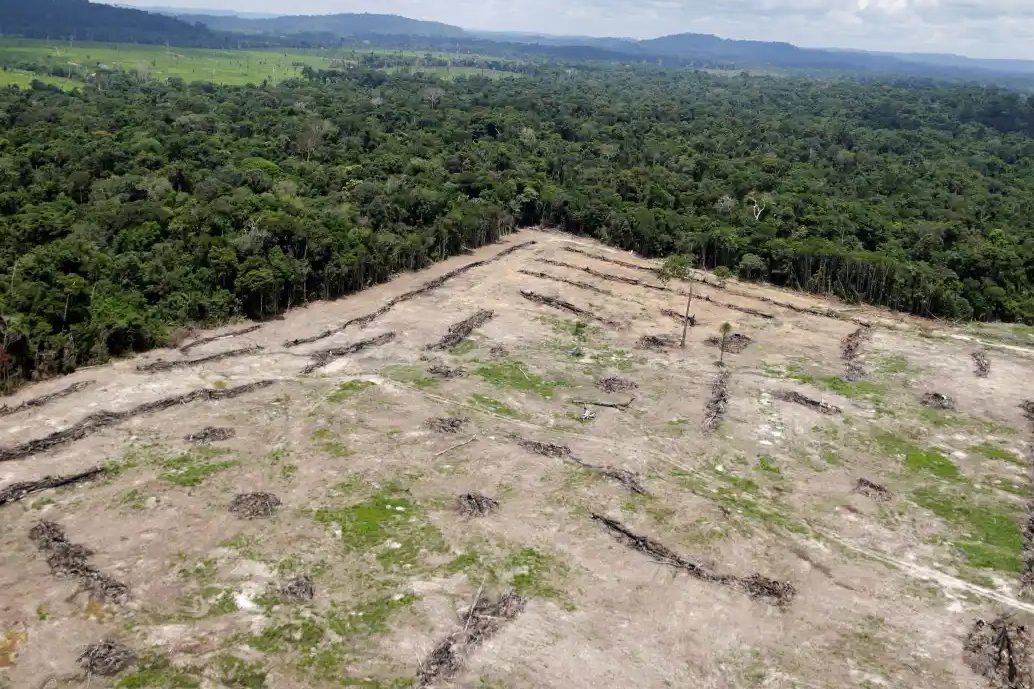 Vitória Ambiental: Brasil Registra Maior Redução de Gases de Efeito Estufa em Quase Duas Décadas, Impulsionando Agenda da COP30