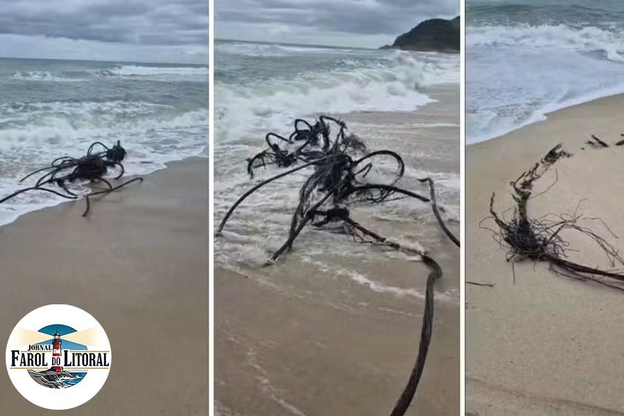 São Sebastião: Ressaca marítima abre fenda na Praia de Maresias e rompe cabos de fibra óptica.