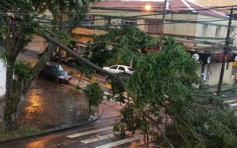 Crise Elétrica: MP e Defensoria Entram na Justiça Contra a Enel por Falhas em São Paulo.