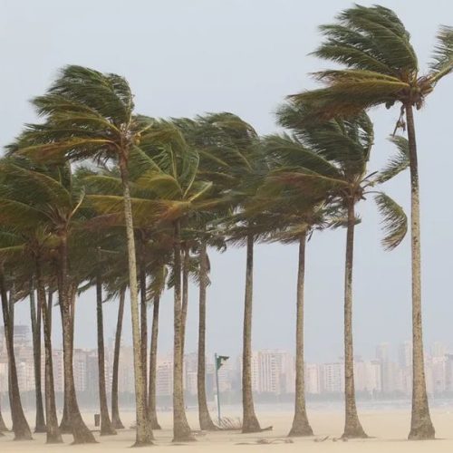 Alerta da Marinha: Ventos de até 60 km/h no Litoral Norte podem afetar Travessia de Balsa entre São Sebastião e Ilhabela.