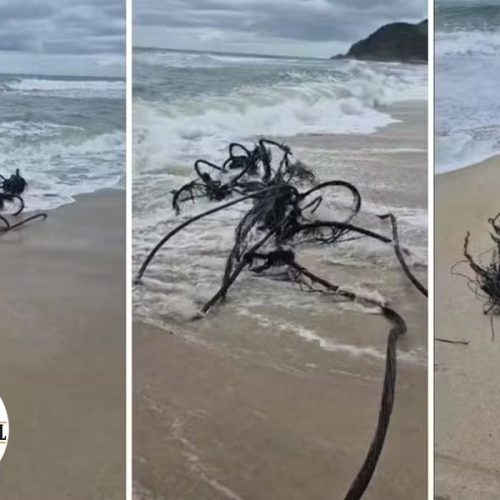 São Sebastião: Ressaca marítima abre fenda na Praia de Maresias e rompe cabos de fibra óptica.
