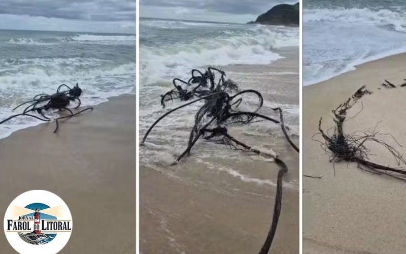 São Sebastião: Ressaca marítima abre fenda na Praia de Maresias e rompe cabos de fibra óptica.