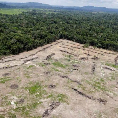 Vitória Ambiental: Brasil Registra Maior Redução de Gases de Efeito Estufa em Quase Duas Décadas, Impulsionando Agenda da COP30