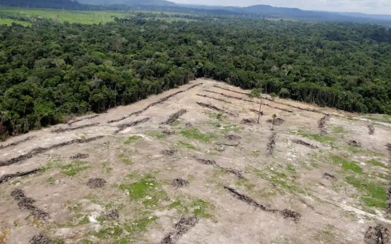 Vitória Ambiental: Brasil Registra Maior Redução de Gases de Efeito Estufa em Quase Duas Décadas, Impulsionando Agenda da COP30