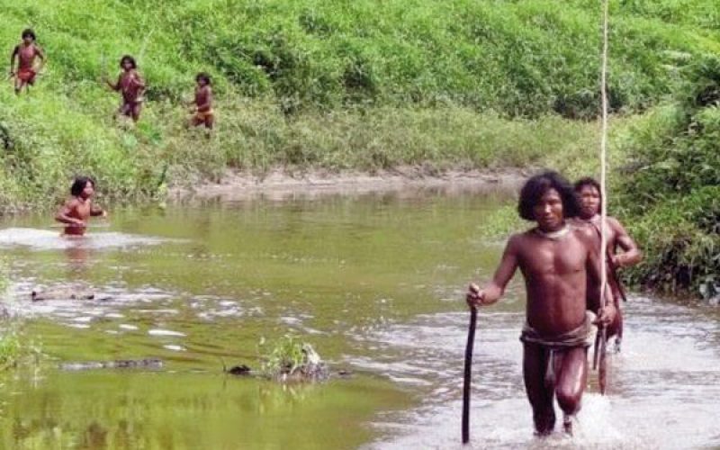 Povo isolado da Amazônia pode desaparecer em meio ao avanço do desmatamento e garimpo ilegal.