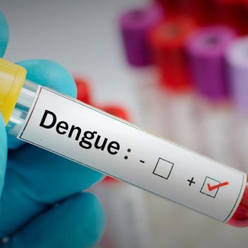 Saúde: Anvisa Confirma Aprovação da Primeira Vacina Anti-Dengue de Dose Única Global.