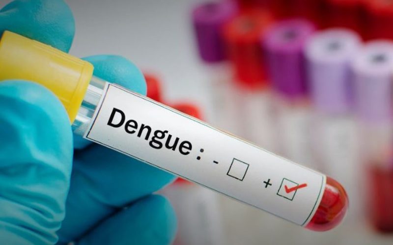 Saúde: Anvisa Confirma Aprovação da Primeira Vacina Anti-Dengue de Dose Única Global.